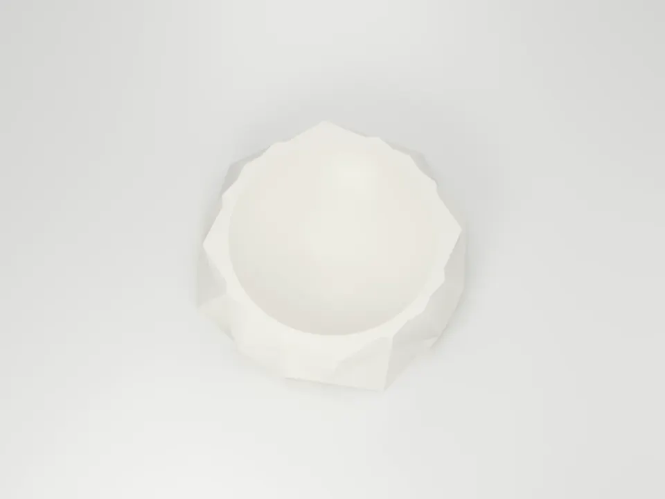 Show: The antimicrobial feeding bowl, seen from above