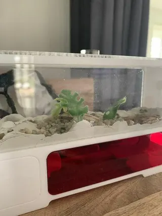 Customer photo: AntHome