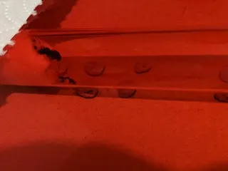 Customer photo: Lasius niger queen